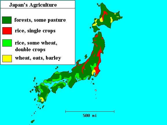 日本地图的森林