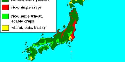 日本地图的森林